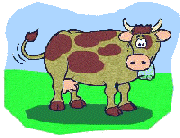 La mucca BRUNA